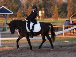 IMG_8071_web